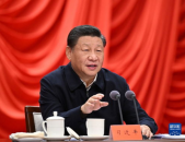 中国商务新闻网刘红伟,解码中国商务新闻网的深度报道与行业洞察