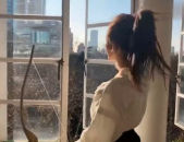 射箭的小姐姐长什么样的,揭秘射箭小姐姐的独特风采