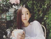 一年生写真,一年生植物写真集